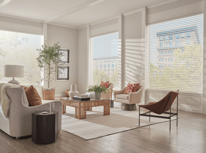 Hunter Douglas: Style, Safety, and Energy Savings You Can Feel