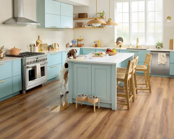 Purr-fectly Plush: Stylish Flooring for Pets | Shaw Floors