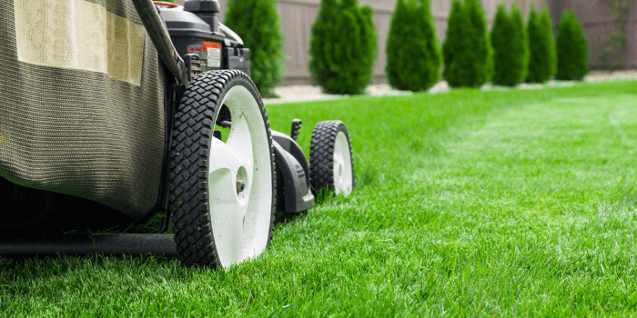 Blackburn’s Spring Lawn Care Guide