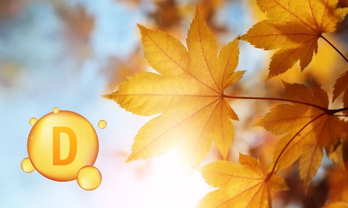 Vitamin D im Herbst: Deine Gesundheit im Fokus