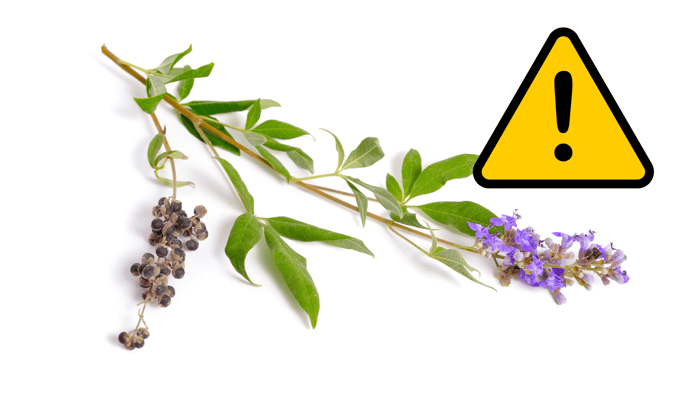 Mönchspfeffer Nebenwirkungen