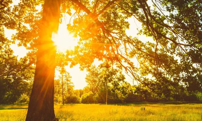 Vitamin D im Herbst & Winter – warum Supplementierung jetzt Pflicht ist