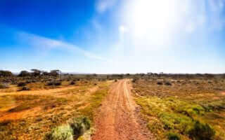 3 famous movie drivers that need car seat covers