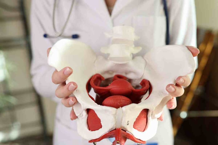 Das Pessar – Was es ist und wie Sie es anwenden