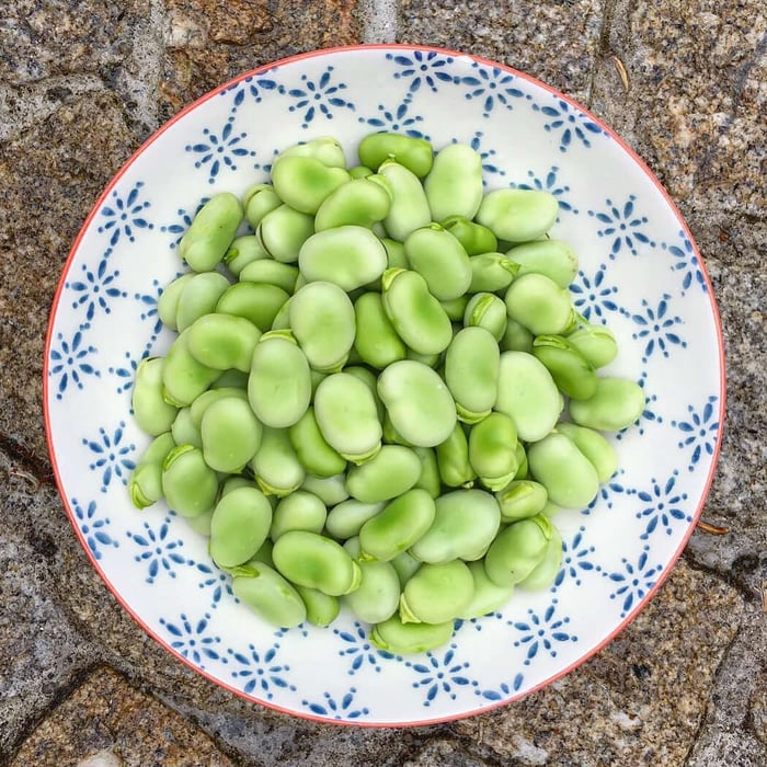 Are you interested in adding more plant-based protein to your diet?