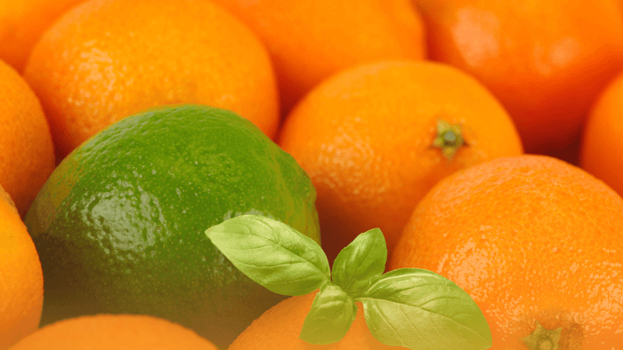 Lime Basil & Mandarin Fragrance Oil : Citrus & Chic