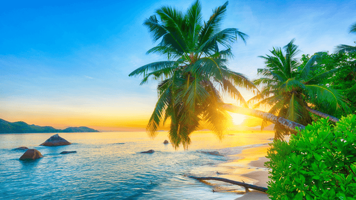 Seychelles Fragrance Oil : Escape To Paradise