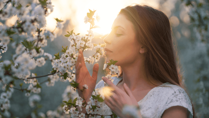 The Science of Scent: How Fragrance Oils Affect Mood