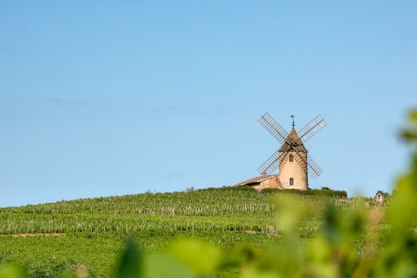A guide to Beaujolais wine