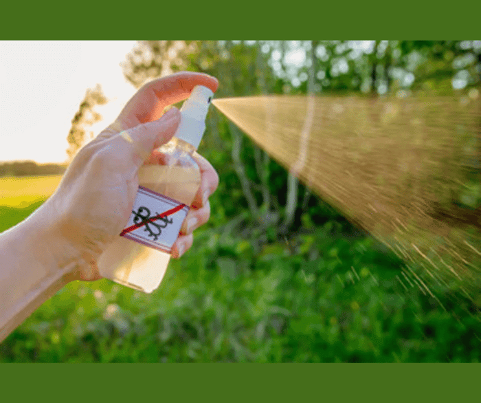 DIY Insect Repellent with Northridge Oak Essential Oils