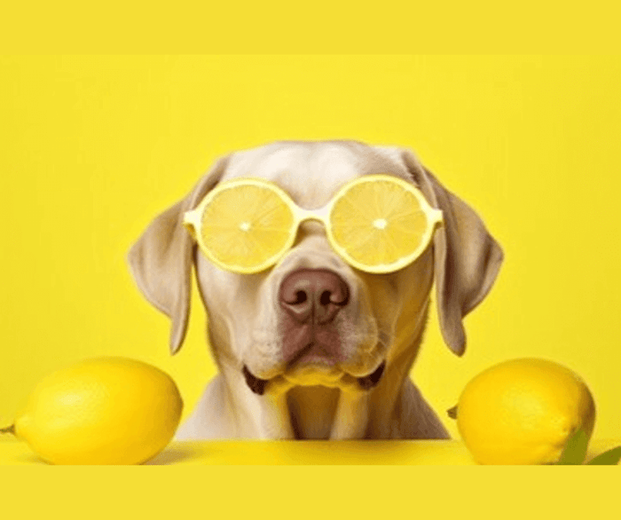 Is Lemon Essential Oil Safe for Dogs? What Pet Parents Should Know