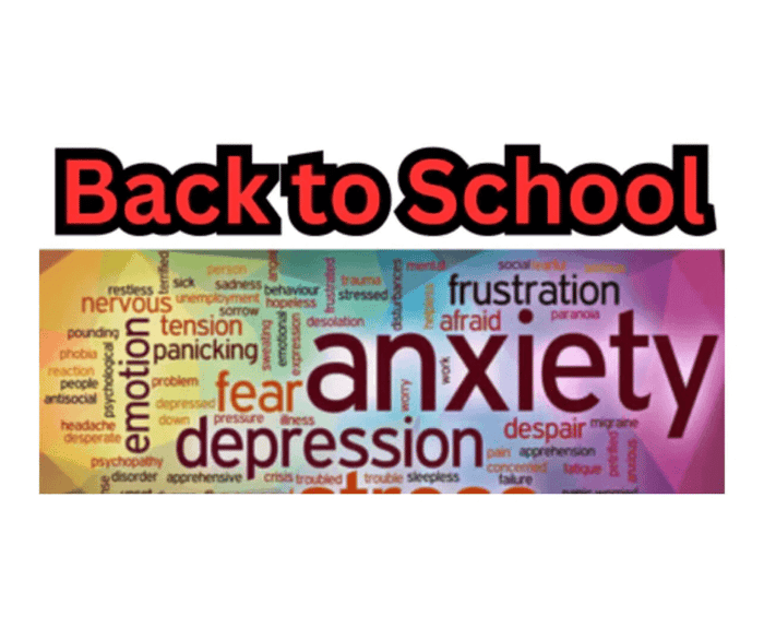 Manage Stress In The Back-to-School Season