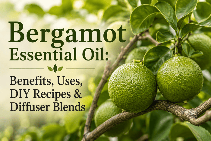 Bergamot Essential Oil: Benefits, Uses, DIY Recipes & Diffuser Blends