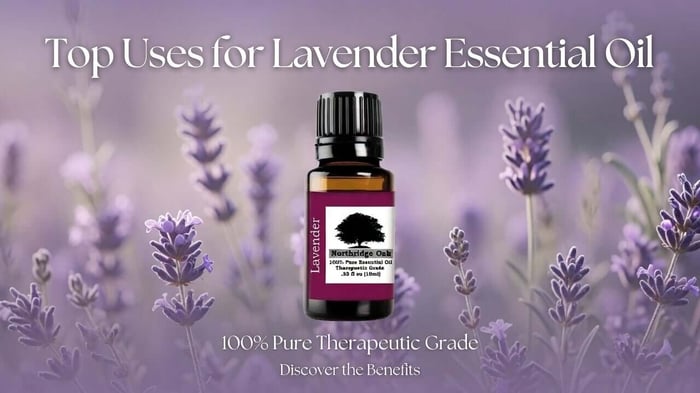 Top Uses for Lavender Essential Oil