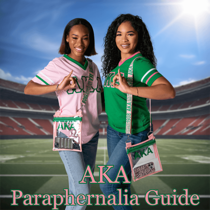 The Ultimate Guide to Alpha Kappa Alpha Paraphernalia