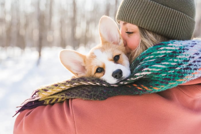 BUCKET LIST FOR DOGS: TOP 10 THINGS YOUR DOG NEEDS TO DO FOR WINTER!