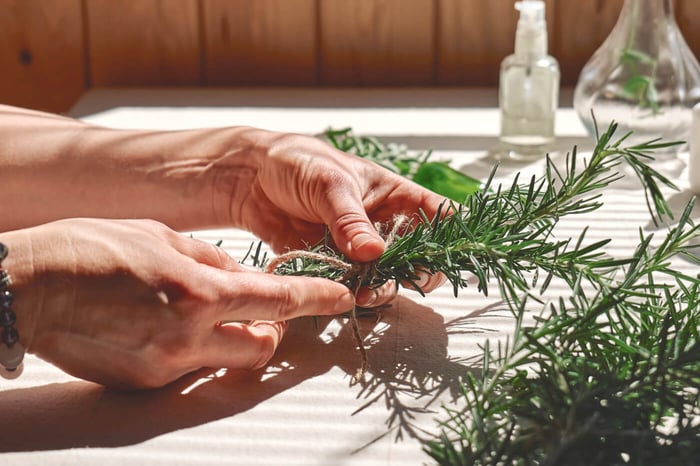 DOG TREATS MYTH VS. REALITY: COMMON INGREDIENT MISCONCEPTIONS