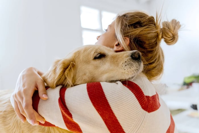 PAWS AND REFLECT: HOW DOGS BOOST YOUR MENTAL HEALTH