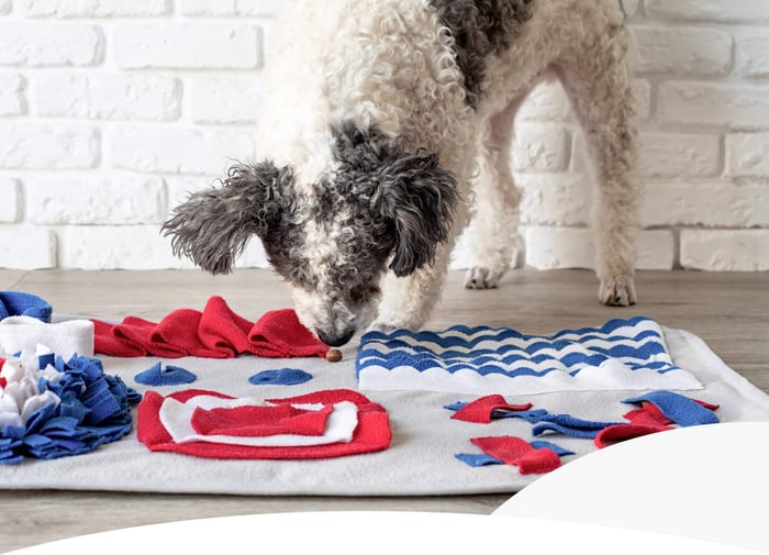 THE NOSE KNOWS:HOW SMELL ENRICHMENT KEEPS DOGS HAPPY INDOORS