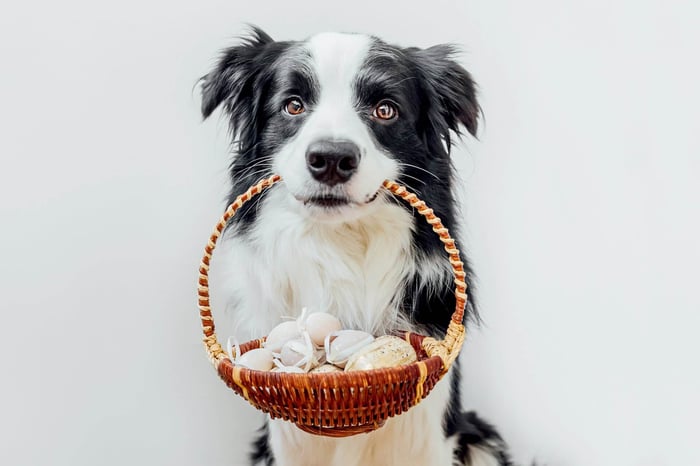 DOG-SAFE EASTER TREATS: RECIPES AND TIPS
