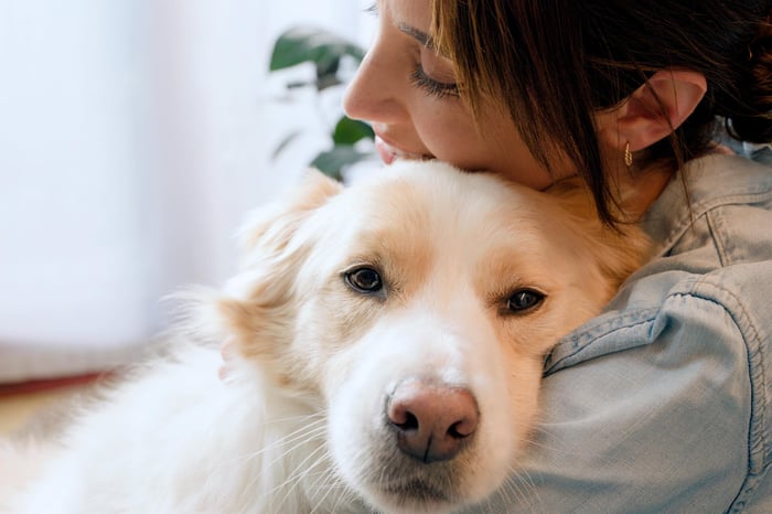 A DOG'S PERSPECTIVE ON GRATITUDE: THE LITTLE THINGS MATTER