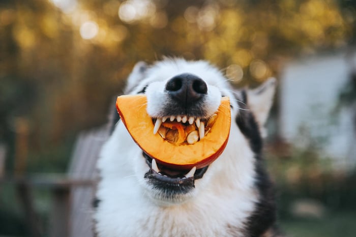 SUPERFOODS FOR SUPER TEETH: NUTRITION THAT SUPPORTS DENTAL HEALTH