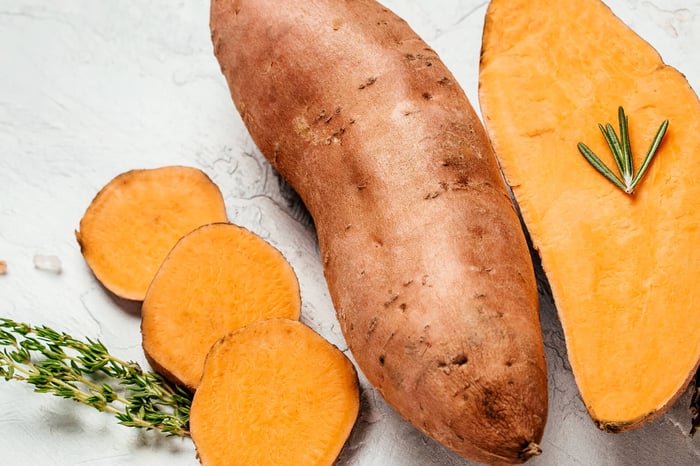 Sweet Potato is a Superfood for your Dog