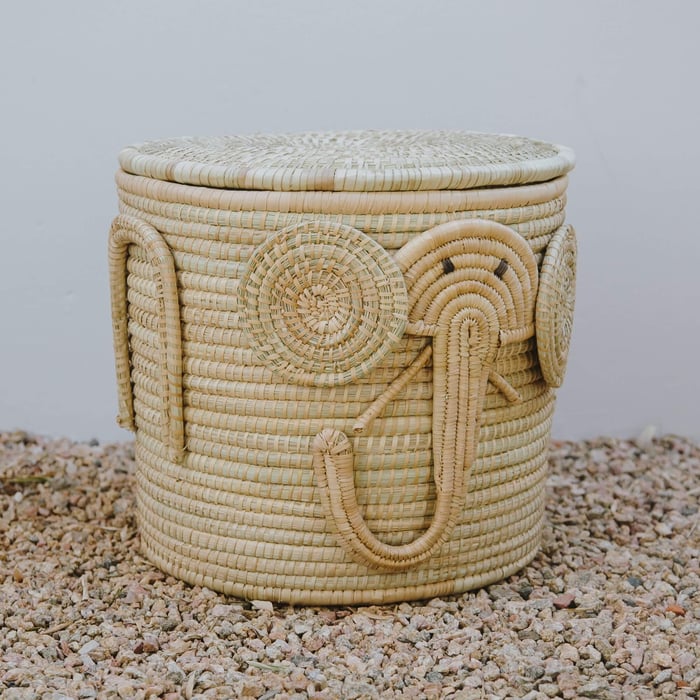 Celebrating Elephant Day: A Tribute to Conservation.