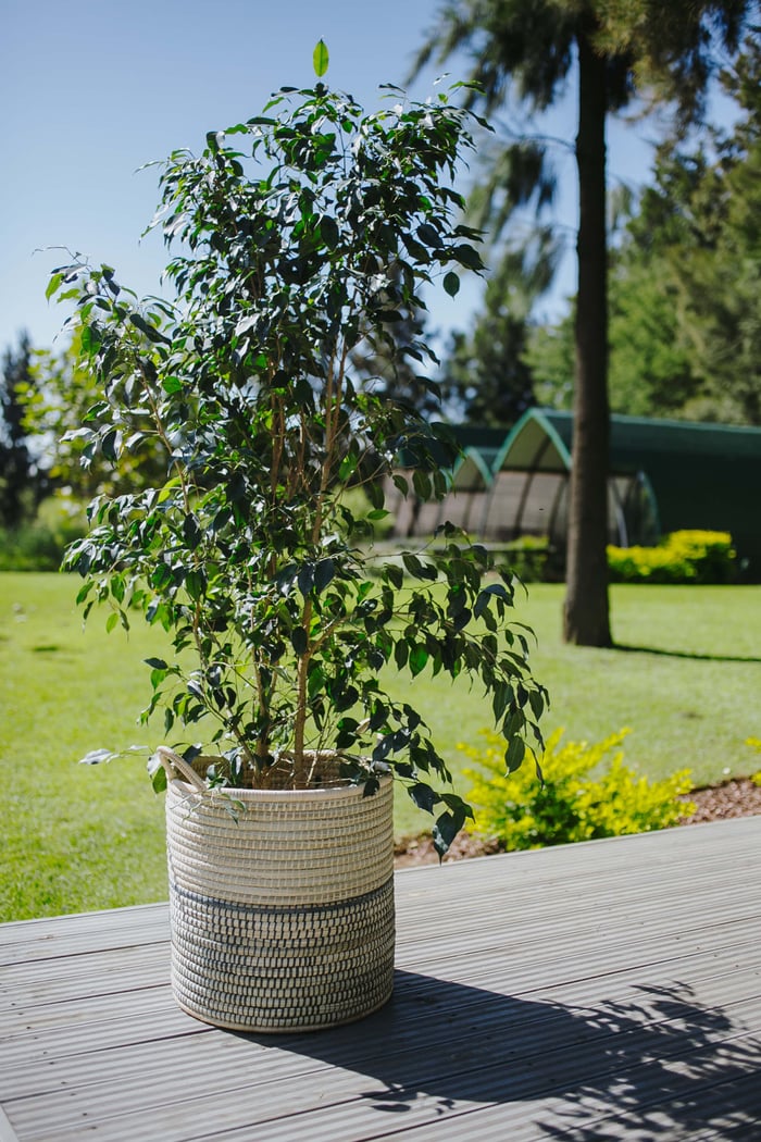 Mo’s Crib Celebrates Earth Day!