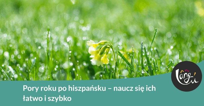 Pory roku po hiszpańsku – naucz się ich łatwo i szybko