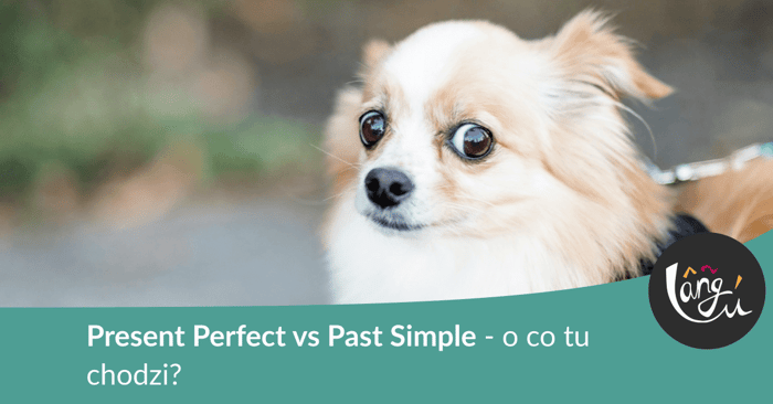 Present Perfect vs Past Simple - o co tu chodzi?