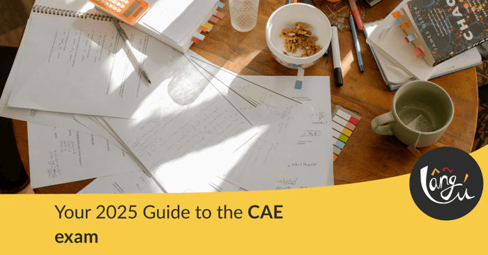 Your 2025 Guide to the CAE Exam