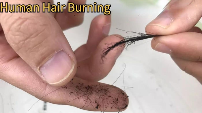 How to Distinguish Between Human Hair and Synthetic Hair
