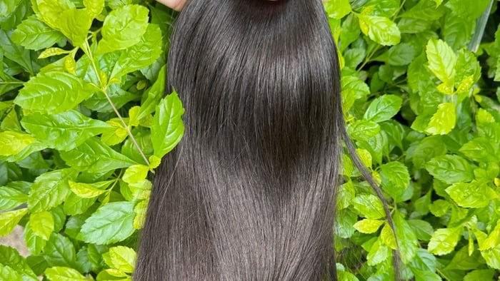 Top Raw Hair: Real and Only Single Donor Hair