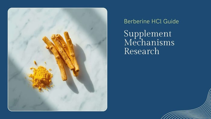 Berberine HCl: Mechanisms, Published Research & What to Look For in a Supplement