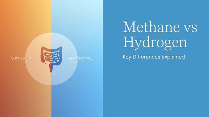 Methane SIBO vs. Hydrogen SIBO: Key Differences Explained