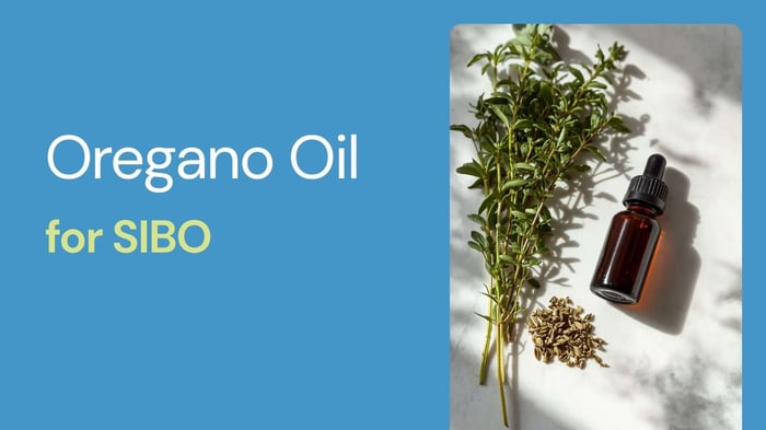Oregano Oil for SIBO: How It Works & What to Look For