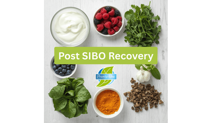 Post-SIBO Recovery: How to Rebuild and Strengthen Your Gut Microbiome