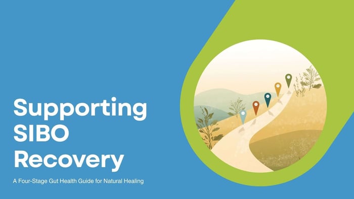 Supporting SIBO Recovery: What to Expect on a Gut Health Protocol
