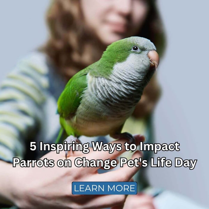 5 Inspiring Ways to Impact Parrots on Change Pet's Life Day