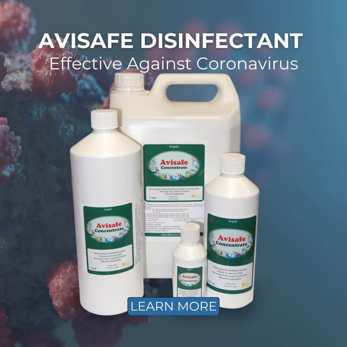 Avisafe Disinfectant Effective Against Coronavirus