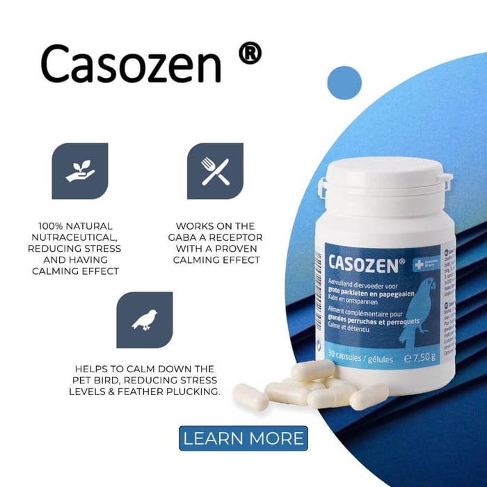 Casozen® – A Natural Stress Reliever for Pet Birds