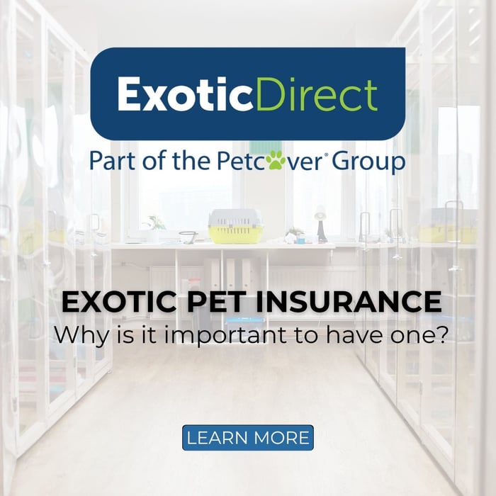 Exotic Pet Insurance – Why is it important to have one?