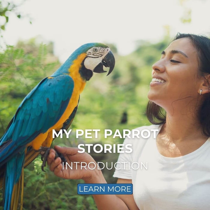 My Pet Parrot Stories - Introduction