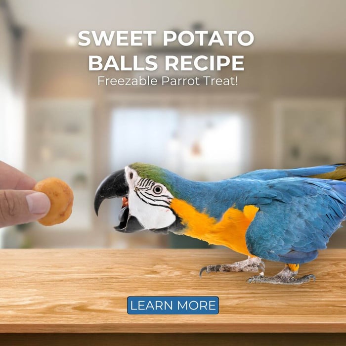 Sweet Potato Balls Recipe - Freezable Parrot Treat!