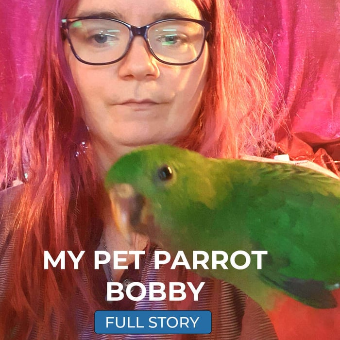 My Pet Parrot Stories: Catherine & Bobby