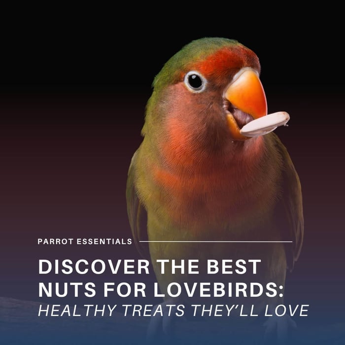Discover the Best Nuts for Lovebirds: Healthy Treats They'll Love