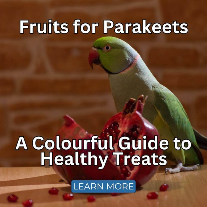 Fruits for Parakeets: A Colourful Guide to Healthy Treats