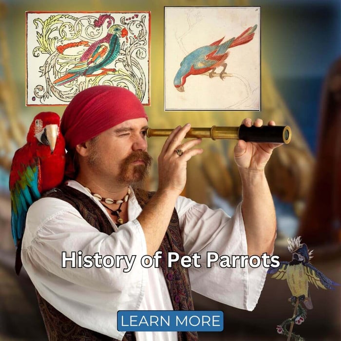 History of Pet Parrots