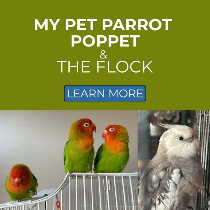 My Pet Parrot Stories: Emma, Poppet & the Flock